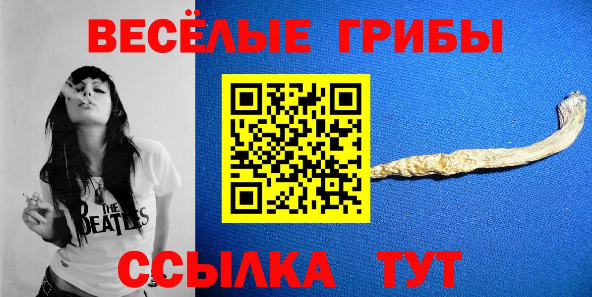 Полысаево  Псилоцибиновые грибы MAGIC MUSHROOMS  Вход с VPN 