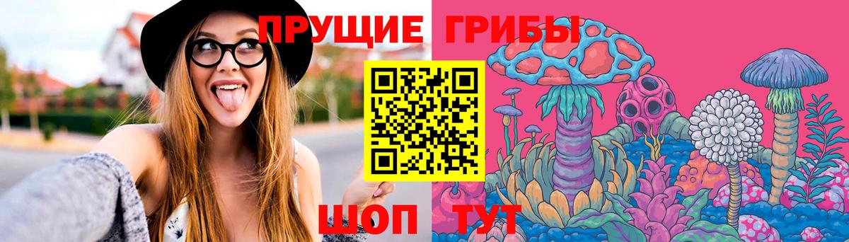 Псилоцибиновые грибы GOLDEN TEACHER Полысаево